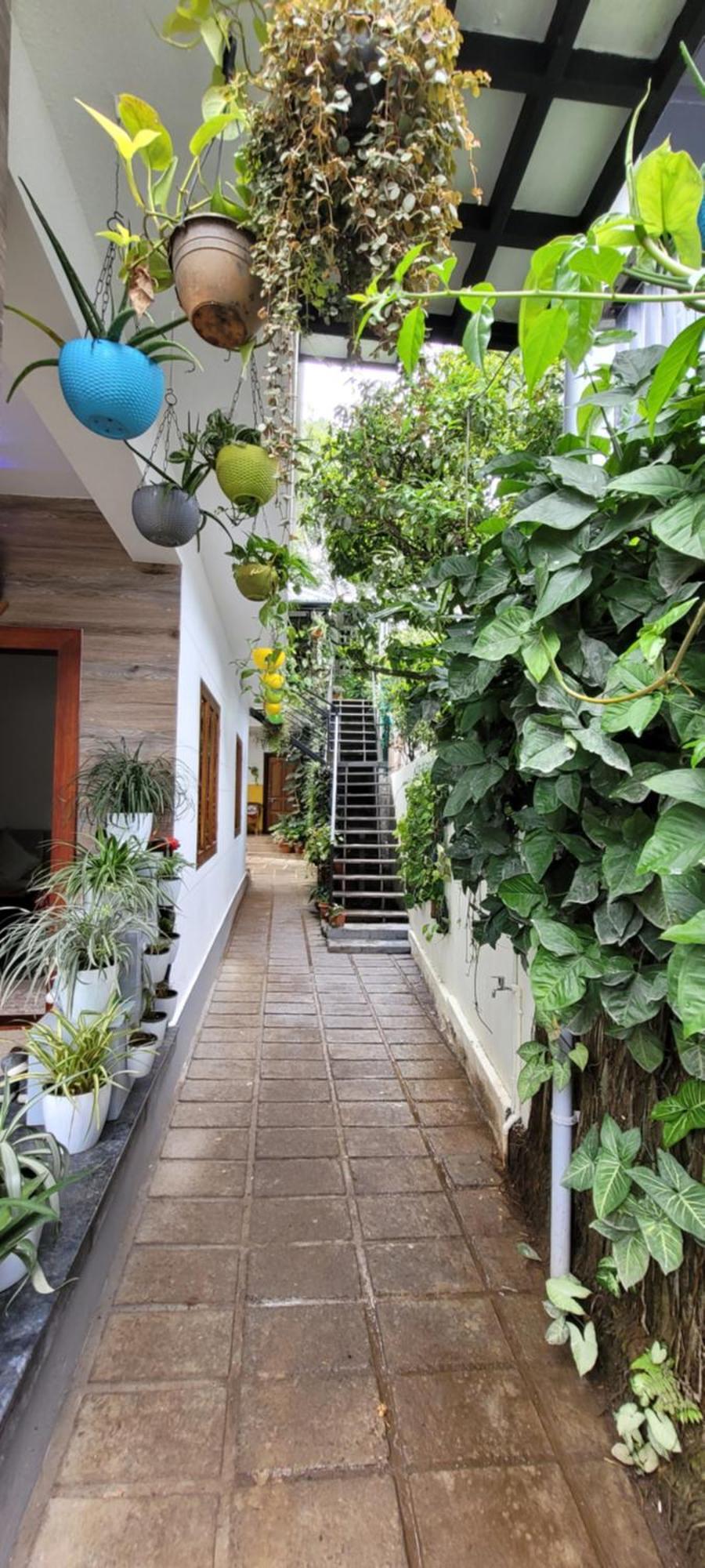 Periyar Homestay Thekkady