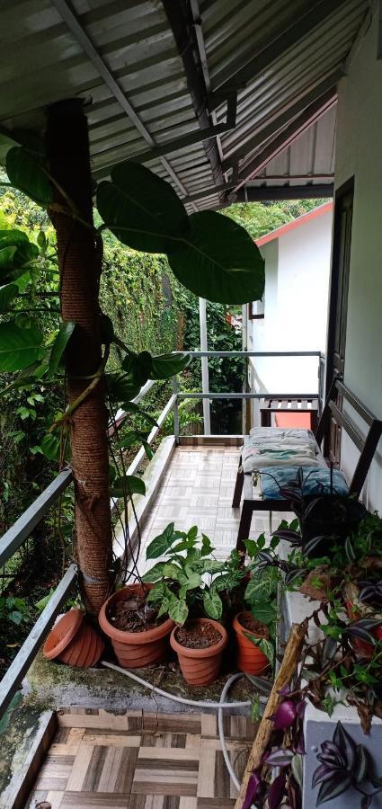 Periyar Homestay Thekkady