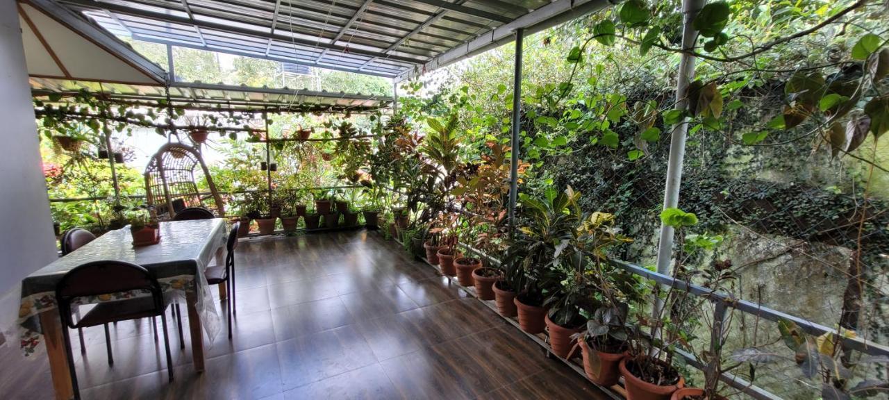Periyar Homestay Thekkady